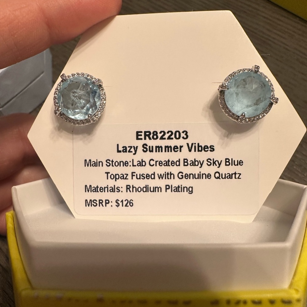 Elegant Blue and Silver Earrings with Delicate Design
